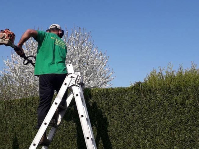 Entretien de jardin